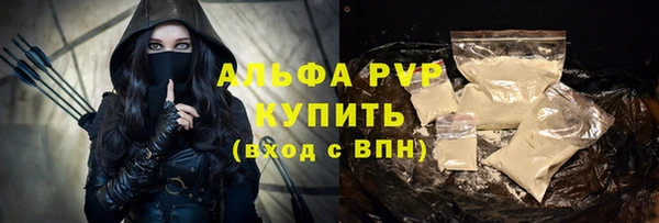 индика Инсар