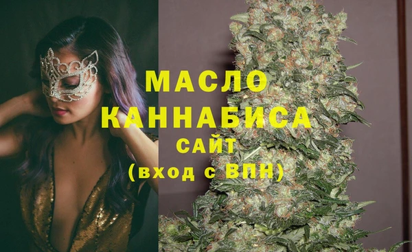 сатива Инта