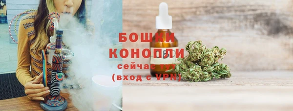 индика Инсар