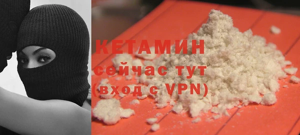индика Инсар