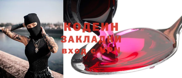 индика Инсар