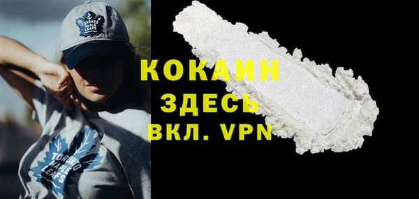 индика Инсар