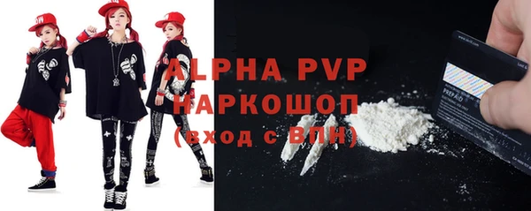индика Инсар