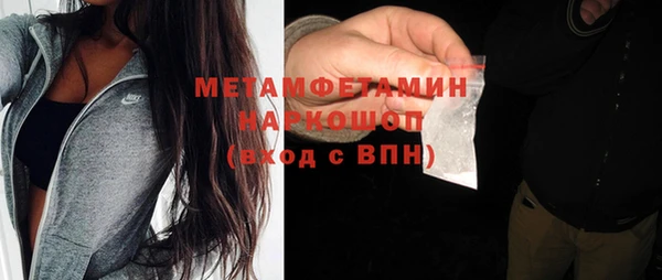 индика Инсар