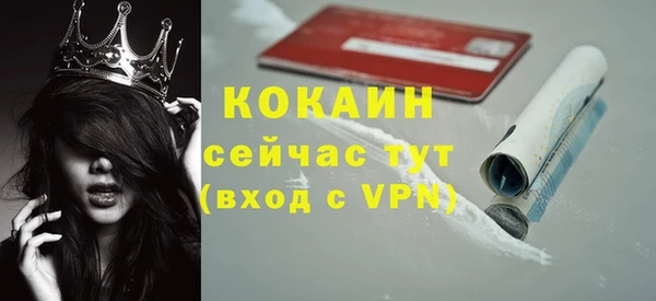 сатива Инта