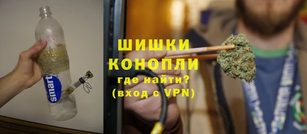 индика Инсар