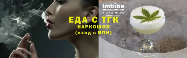 индика Инсар