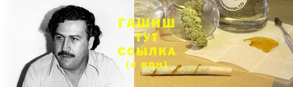 индика Инсар