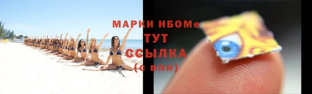 сатива Инта