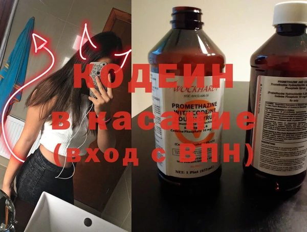 сатива Инта
