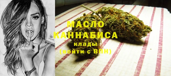 индика Инсар
