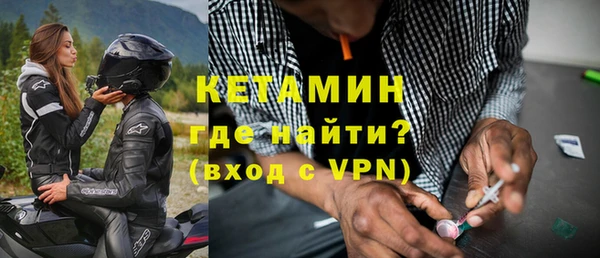 индика Инсар
