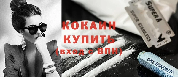 индика Инсар