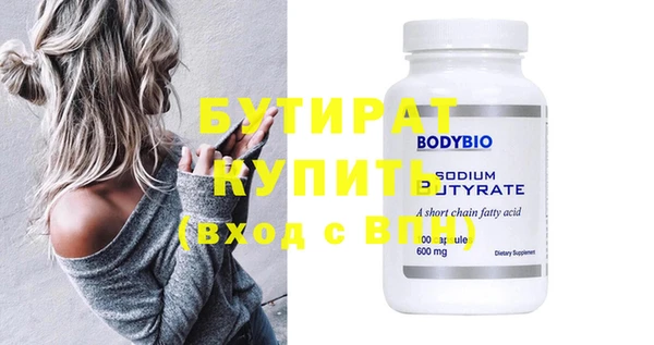 индика Инсар