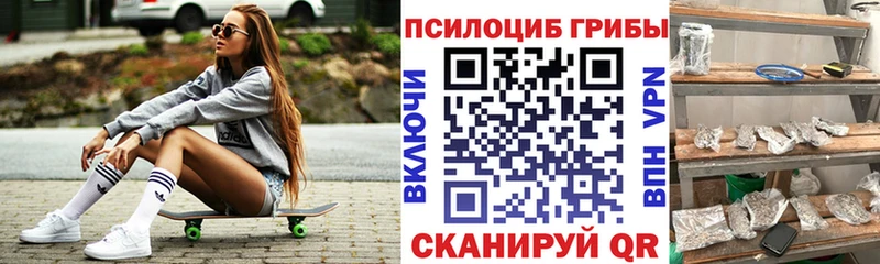 Псилоцибиновые грибы Magic Shrooms  Кингисепп 