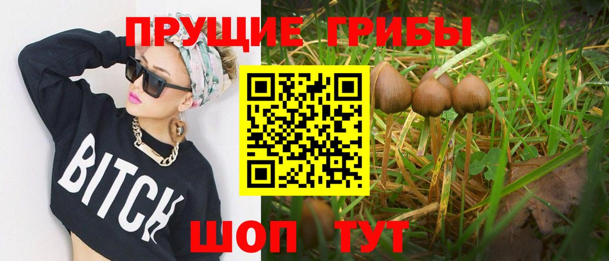 Кингисепп  Галлюциногенные грибы мицелий  Вход с VPN 