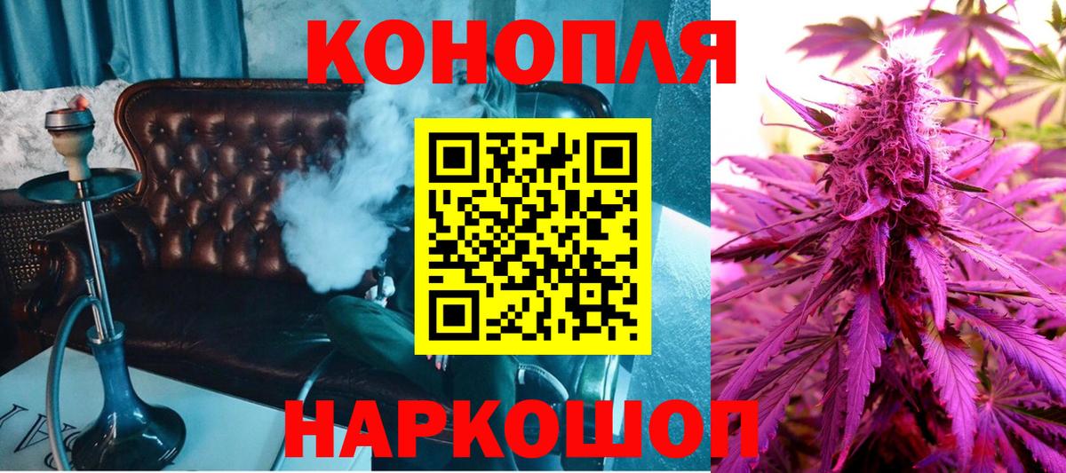 МАРИХУАНА план  Бошки марихуана гибрид  Вход с VPN  Кингисепп  Каннабис конопля 